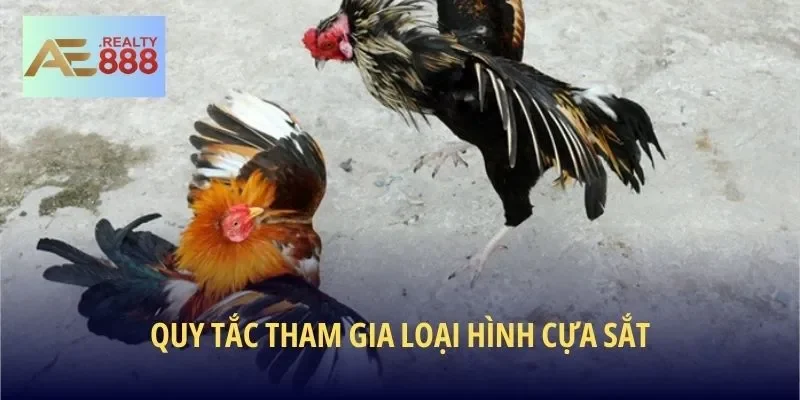 Quy tắc tham gia loại hình cựa sắt