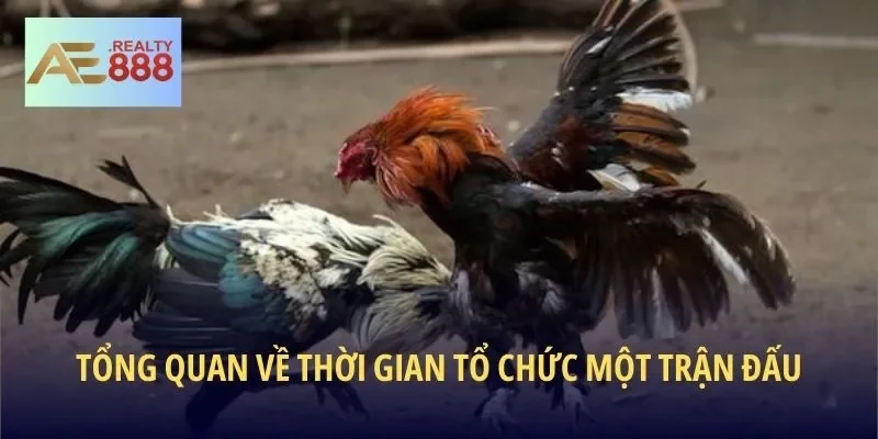 Tổng quan về thời gian tổ chức một trận đấu