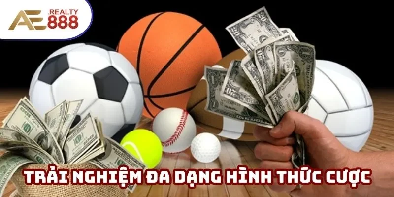 Hệ thống mang đến trải nghiệm phong phú, đặc sắc